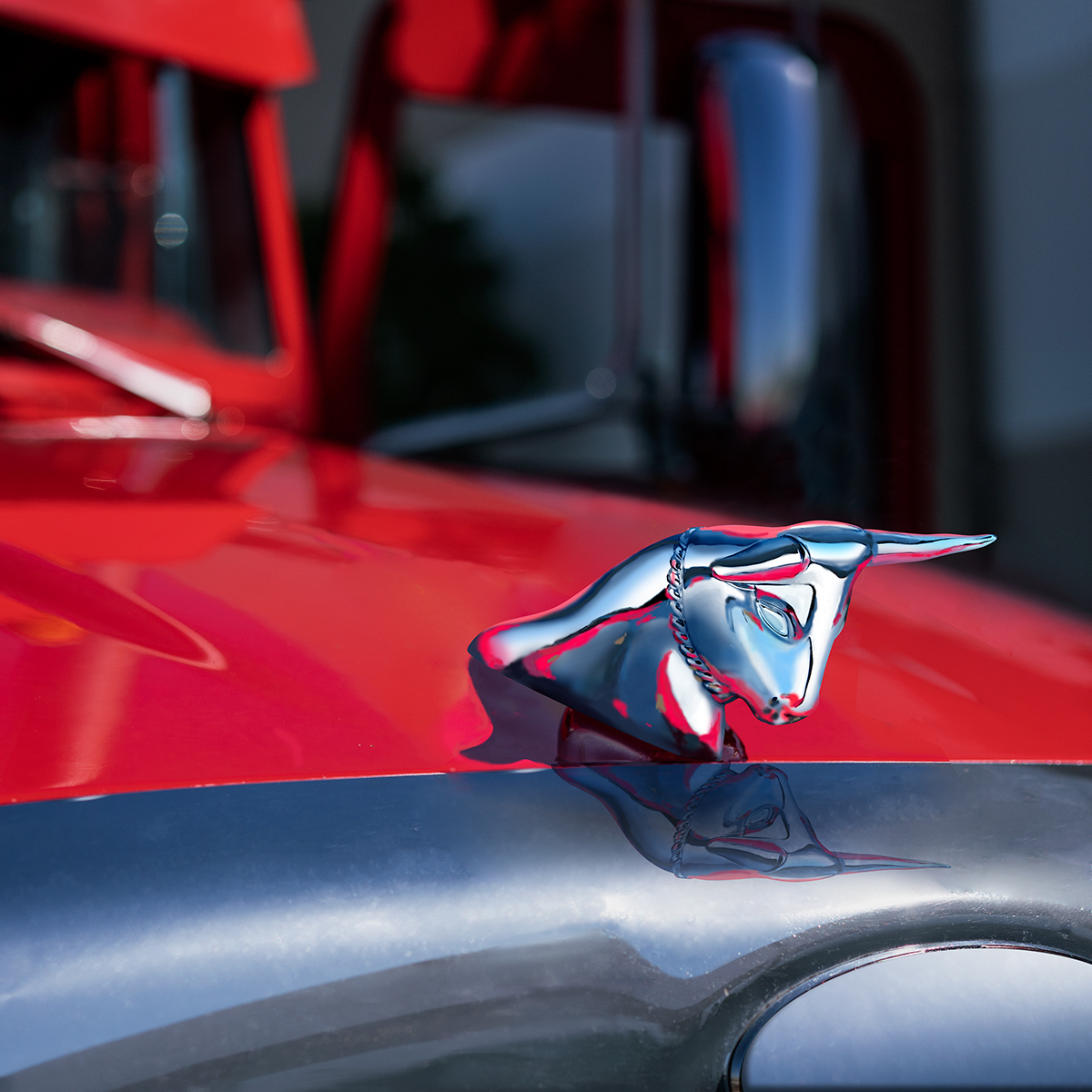 Die-Cast Long Horn Bull Hood Ornament